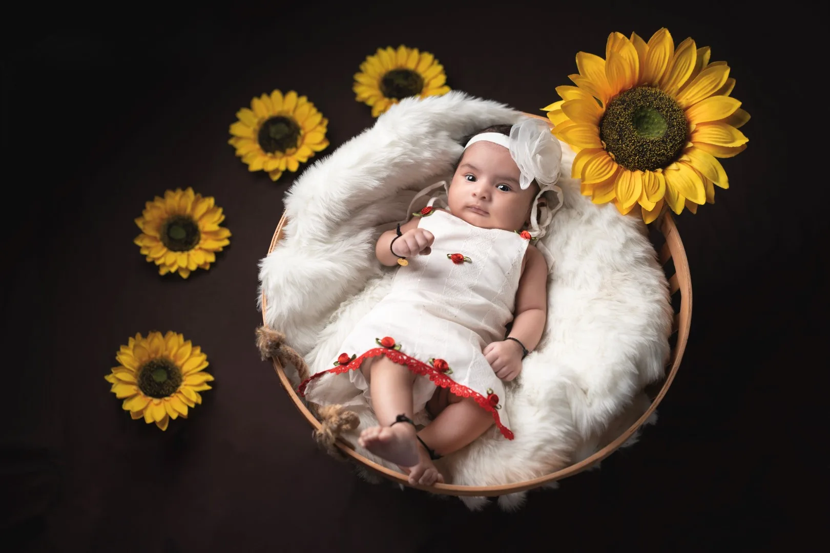 indoor-babyshoot-theme-ColorPalette (140)